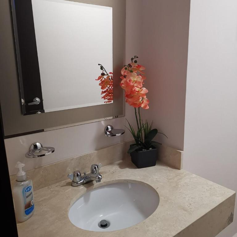 Casa Ideal para Empresas y Familias - Casa de 3 dormitorios - 47