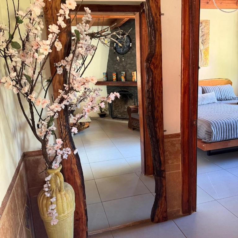 D'lara - Casa de 4 dormitorios - 21