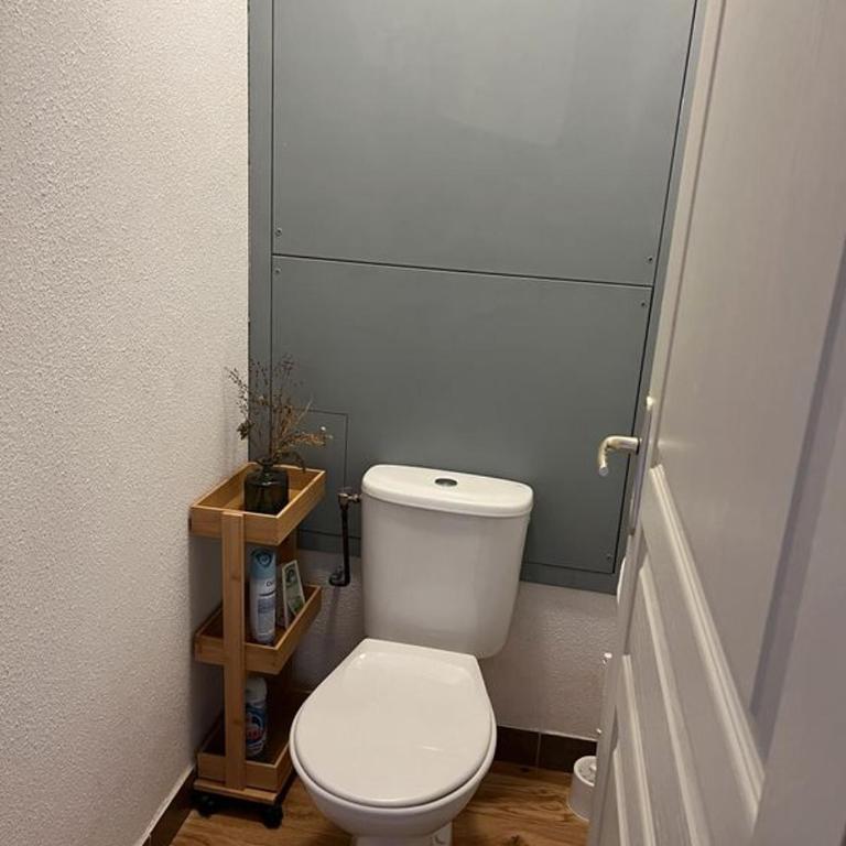 T3 ALBIEZ-MONTROND proche SYBELLES - Appartement 3 Chambres - 9