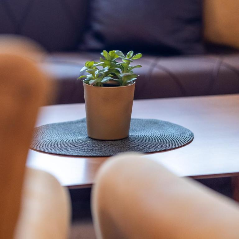 Momentina Apartments - Studio Supérieur - 8