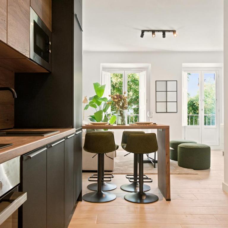 Delicias Luxe en Madrid - Appartement - 1