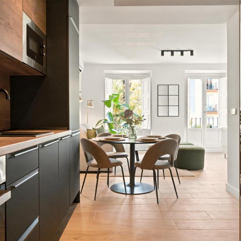 Delicias Luxe en Madrid - Appartement 1 Chambre - 4