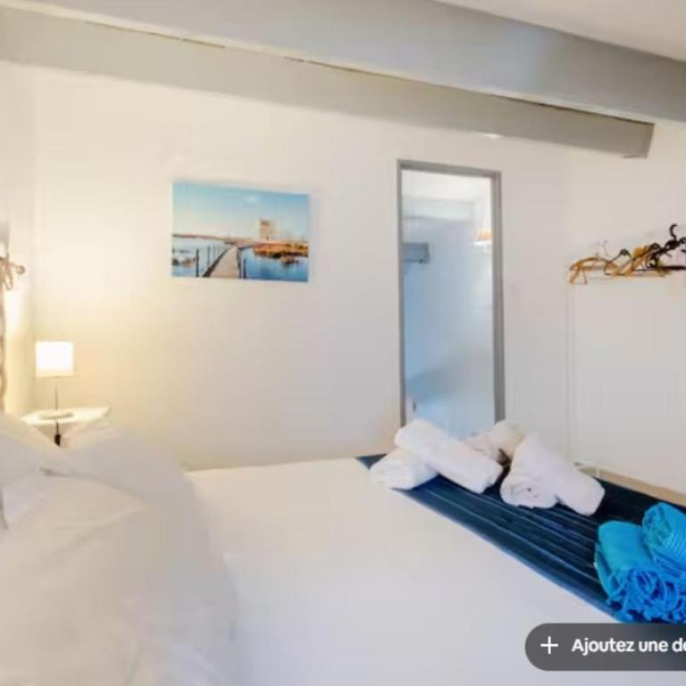 Grand appartement avec terrasse Plage à 6 min à pied Climatisation Saintes maries de la mer - Appartamento con 1 Camera da Letto - 17