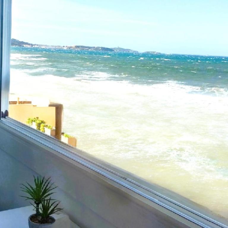 27m with terrace - first row sea view - Studio - 8