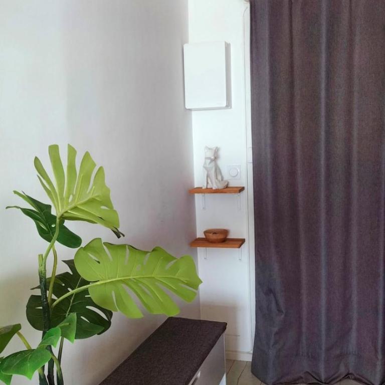 27m with terrace - first row sea view - Studio - 10