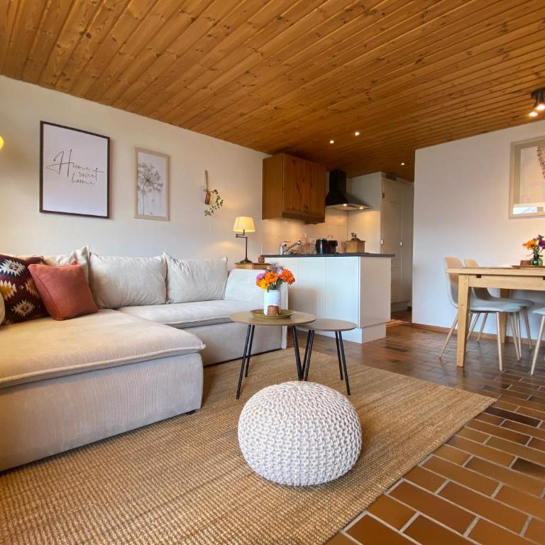 Charming and comfortable 1 bedroom apartment in Gryon - Apartment mit 1 Schlafzimmer - 6
