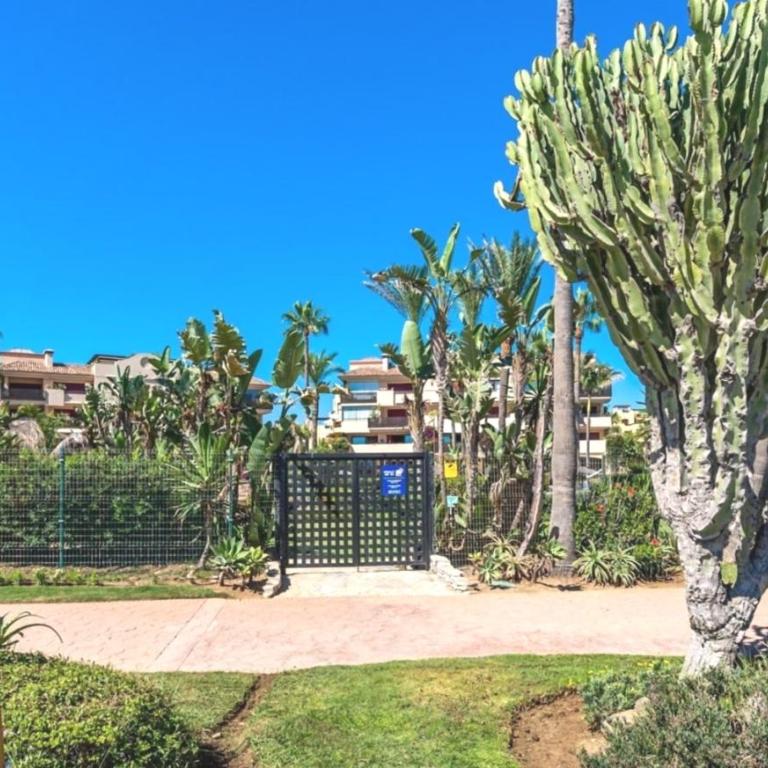 Apartment Palmeras Pool direct access to the beach - Apartment with Sea View - 25