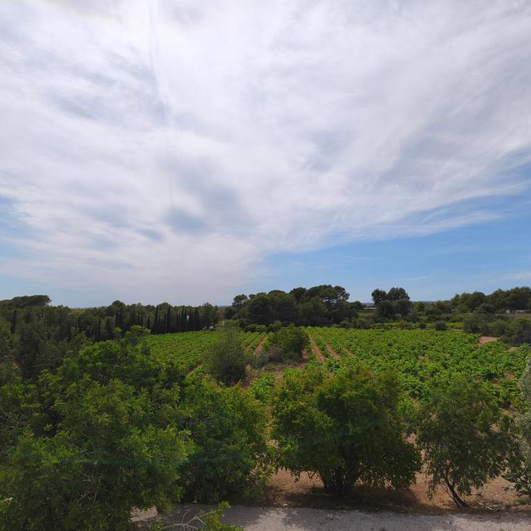 Casa Rural Els Cucons - Casa de 7 dormitorios - 7