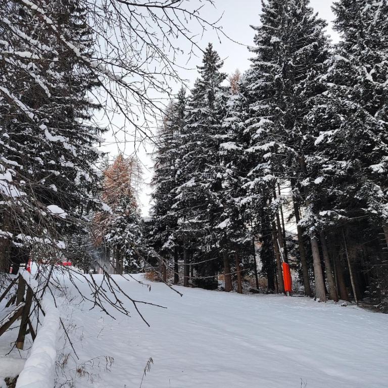 La casina nel bosco Monolocale al residence lores 1 - Appartamento con 1 Camera da Letto - 5