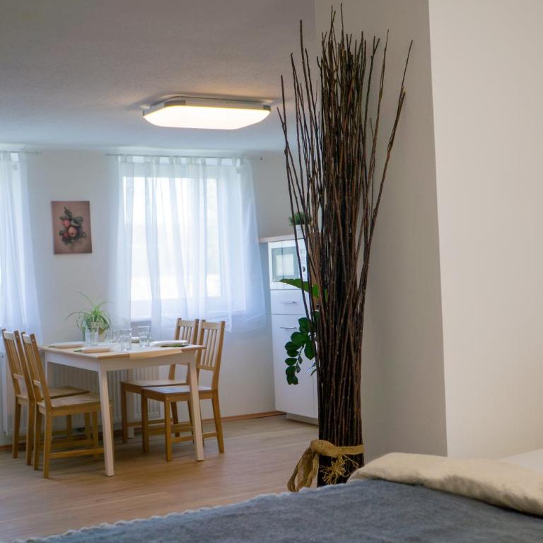 Apartments Home4motion Steinfeldgasse - Apartment mit 1 Schlafzimmer und Terrasse - 36