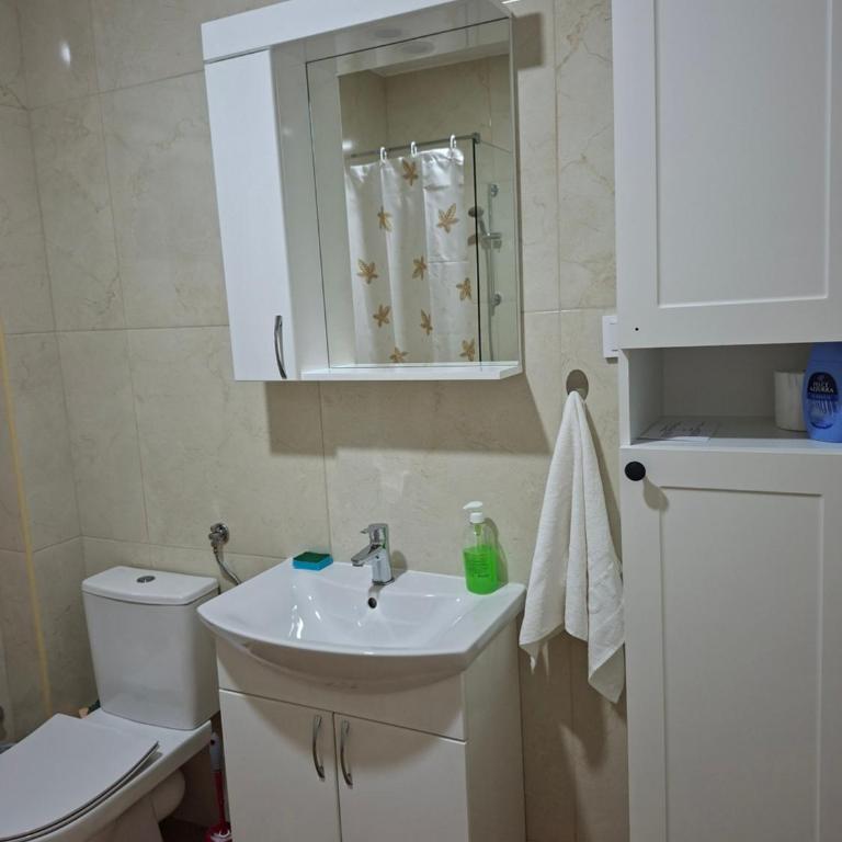 Olive Apartment - Apartman sa 1 Spavaćom Sobom - 20