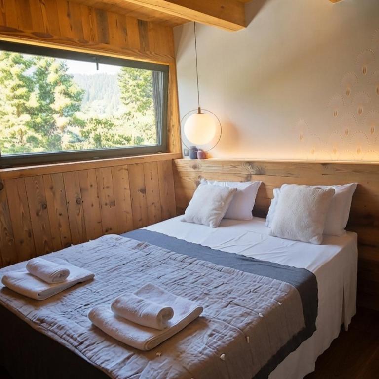 Chalet ORION Serre-chevalier piscine cinéma - Chalet - 11