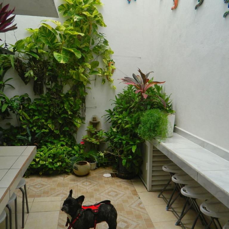 Casa Laurel - Habitación Familiar - 2