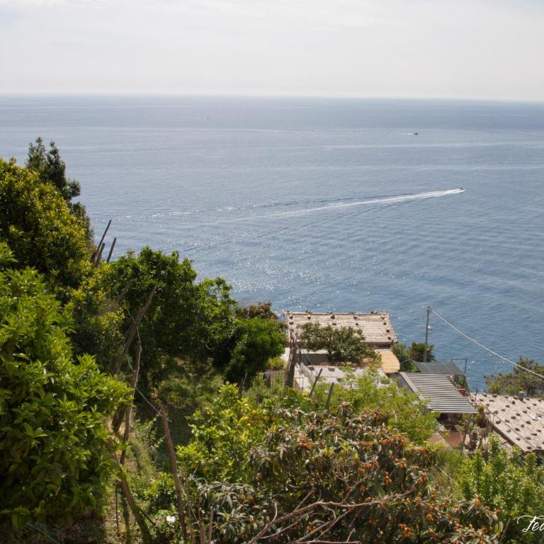 Marina di Corniglia Big Flat in 5 TERRE - Appartement avec Terrasse - 34