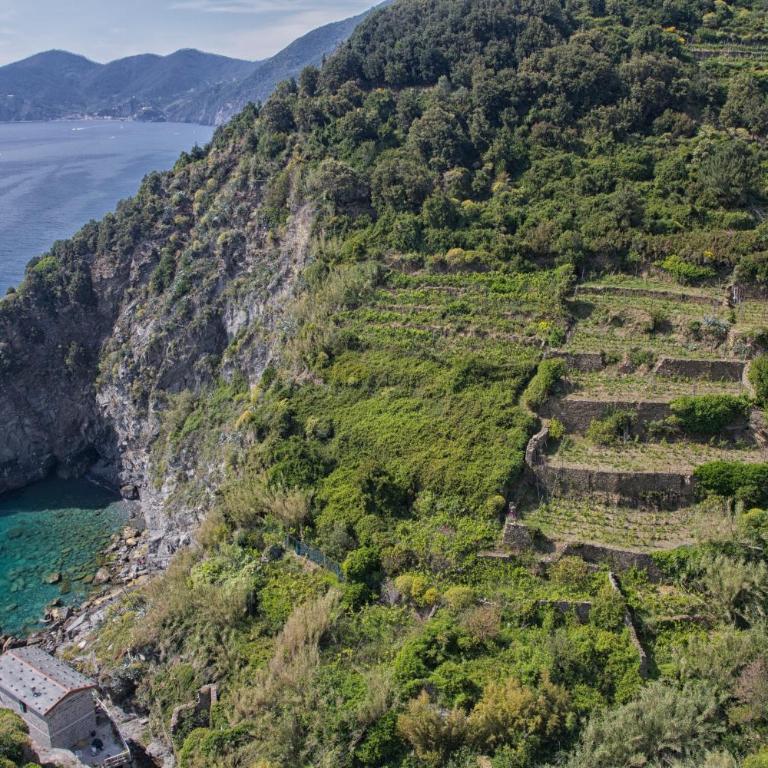 Marina di Corniglia Big Flat in 5 TERRE - Appartement avec Terrasse - 32