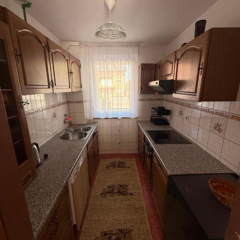 Apartman Dedović - Appartement - 5