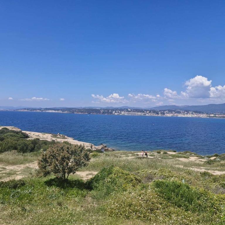 Appartement au calme avec vue mer - 4 pers. - FR-1-845-49 - Apartment - 15