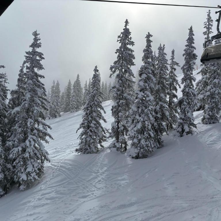 Königstube Alpenappartement - Apartment mit 1 Schlafzimmer - 26