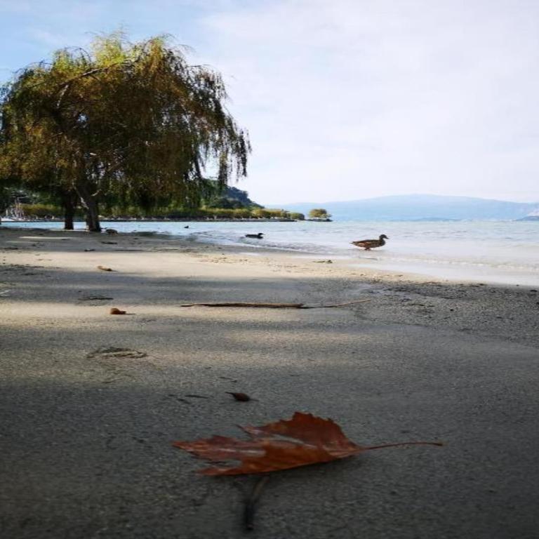 Spacious Apartment in Luino for 5 - One-Bedroom Apartment - 31