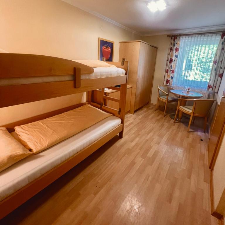 Edelweiss "Hotel & Restaurant" - Standard Apartment - 2