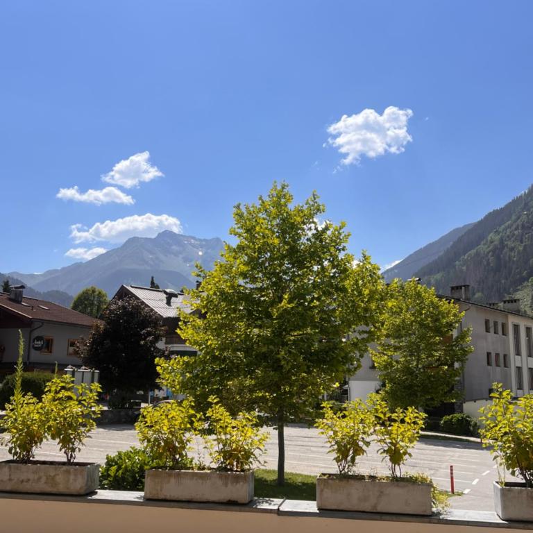 Edelweiss "Hotel & Restaurant" - Deluxe Zimmer (2 Erwachsene & 1 Kind) - 2