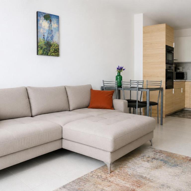 Seguro Spacious apartment with roomy terrace, newly renovated - Apartamento con terraza - 4