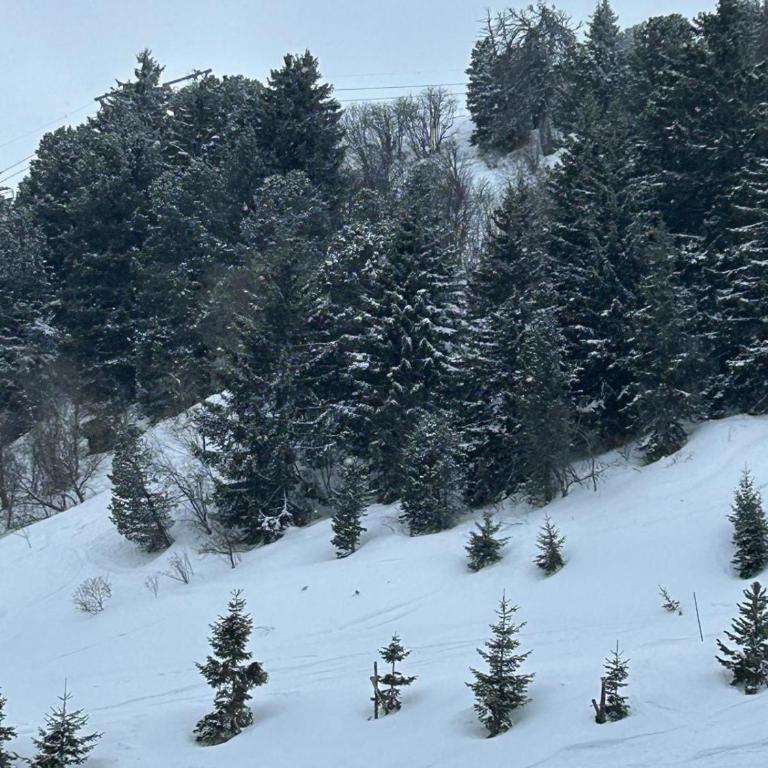 Ski-in Ski-out Apartment in Meribel Mottaret, Trois Vallees - Appartement 3 Chambres - 14