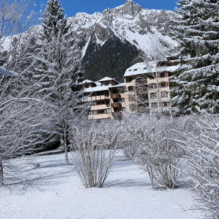 Studio avec terrasse plein sud et vue Mont-Blanc - Appartement - 14