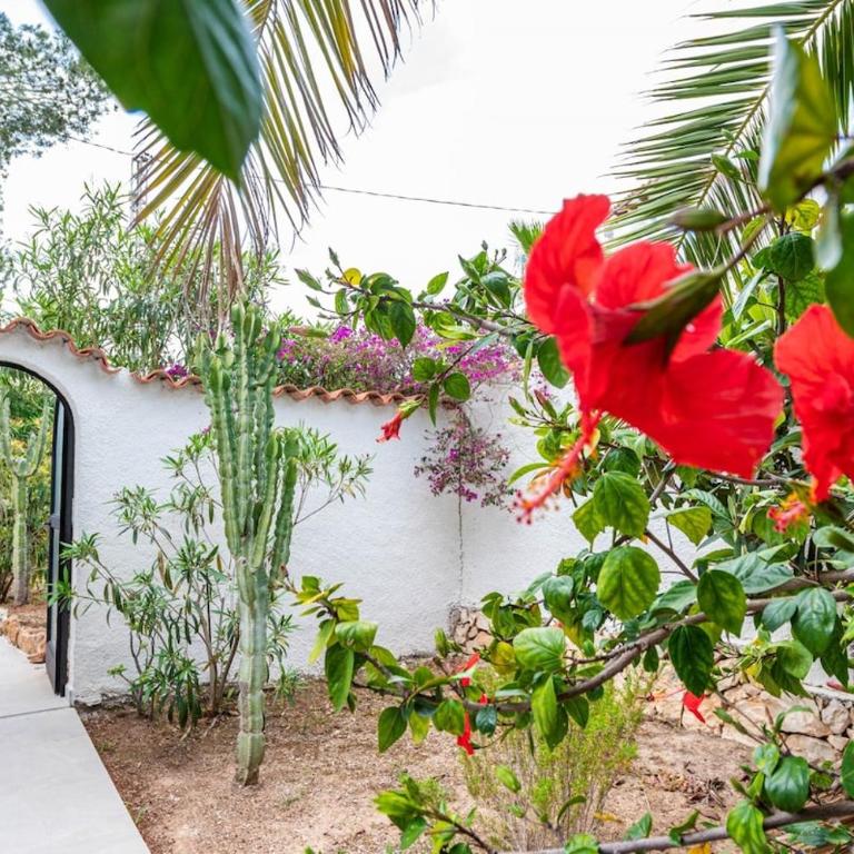 Casa Clemence, private pool, by Theka Services - Casa de 3 dormitorios - 16