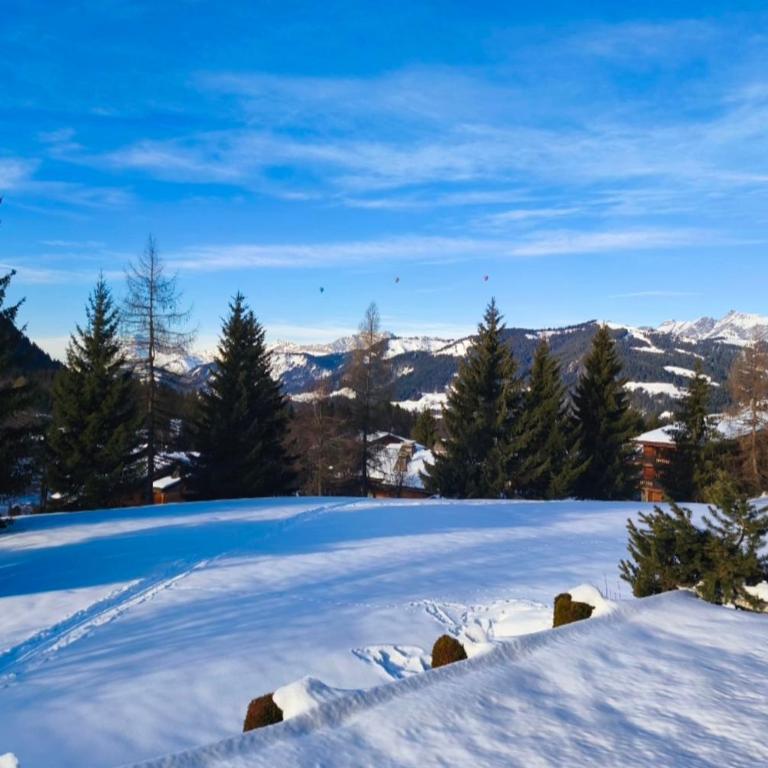 Stay at the heart of the slopes in Megève! - Apartamento - 23