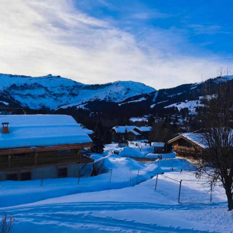 Stay at the heart of the slopes in Megève! - Apartamento - 24