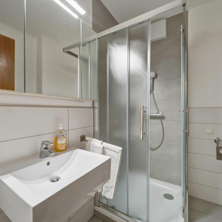 Kaprun Apartments - Standard Studio für 3 Personen - 10