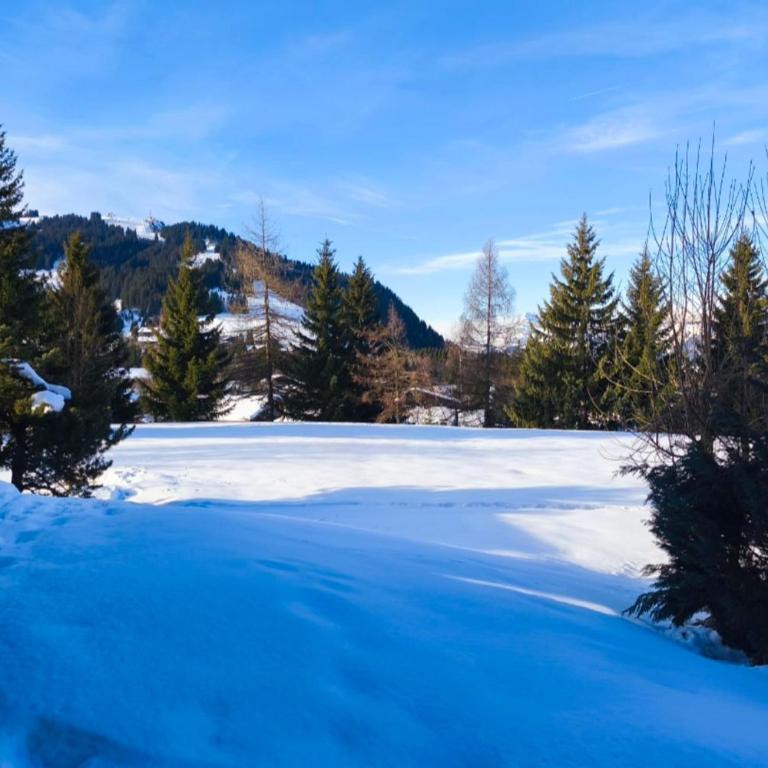 Stay at the heart of the slopes in Megève! - Apartamento - 26
