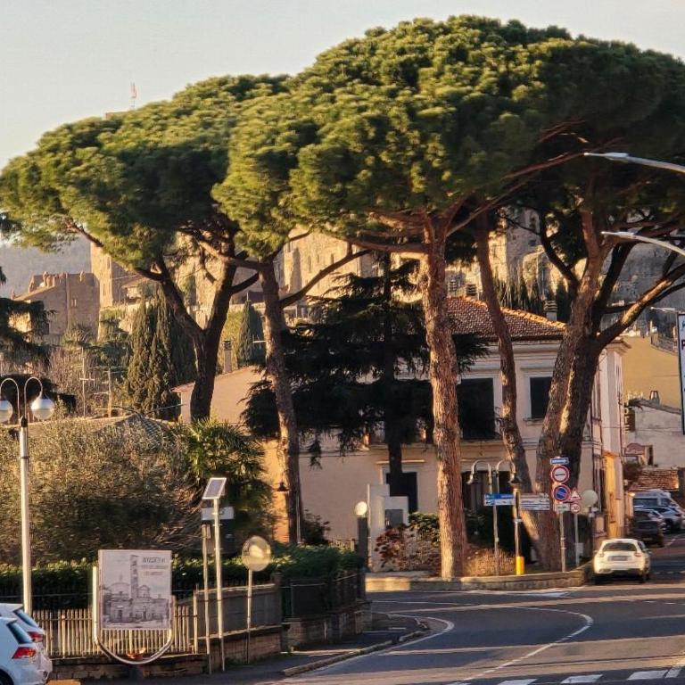 Lakeview Balcony Apartment in Bolsena - Appartamento con 2 Camere da Letto - 20