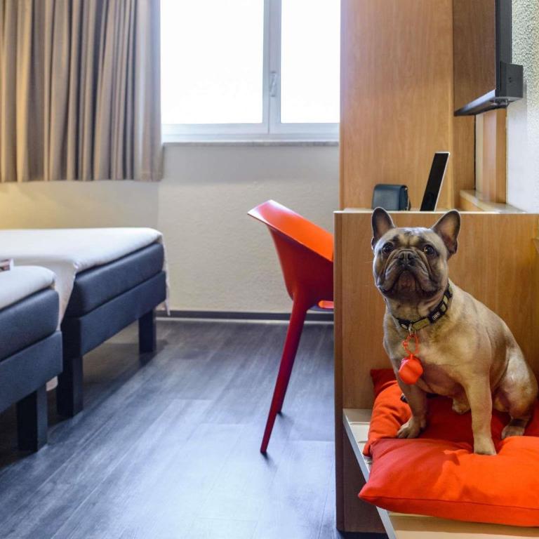 Ibis Milano Centro - Chambre Lits Jumeaux Standard - 6
