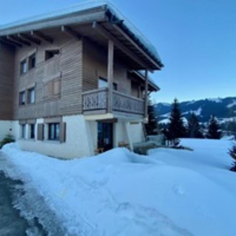 Stay at the heart of the slopes in Megève! - Apartamento - 28