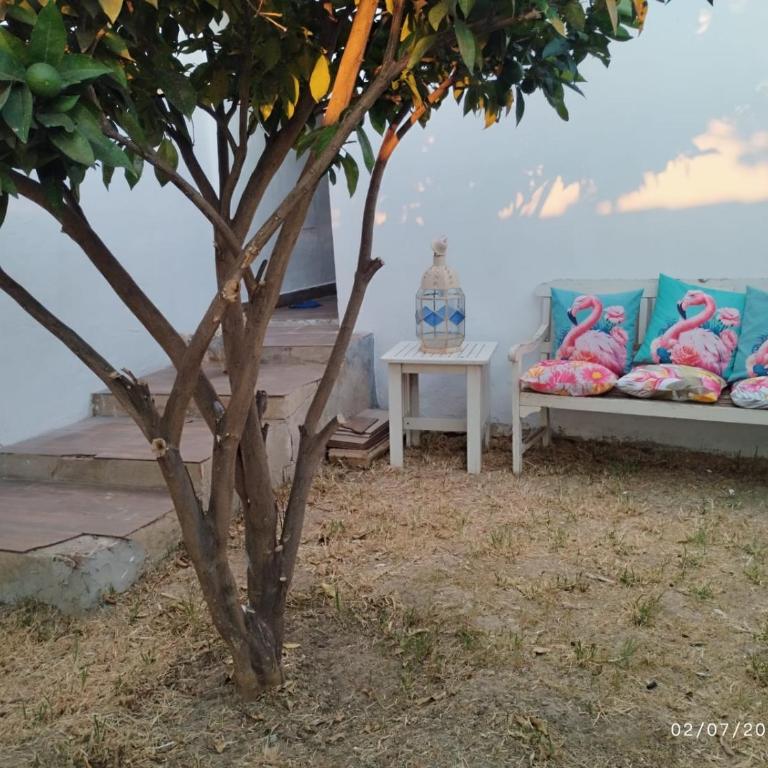 Mis Guardianes - One-Bedroom Apartment - 2