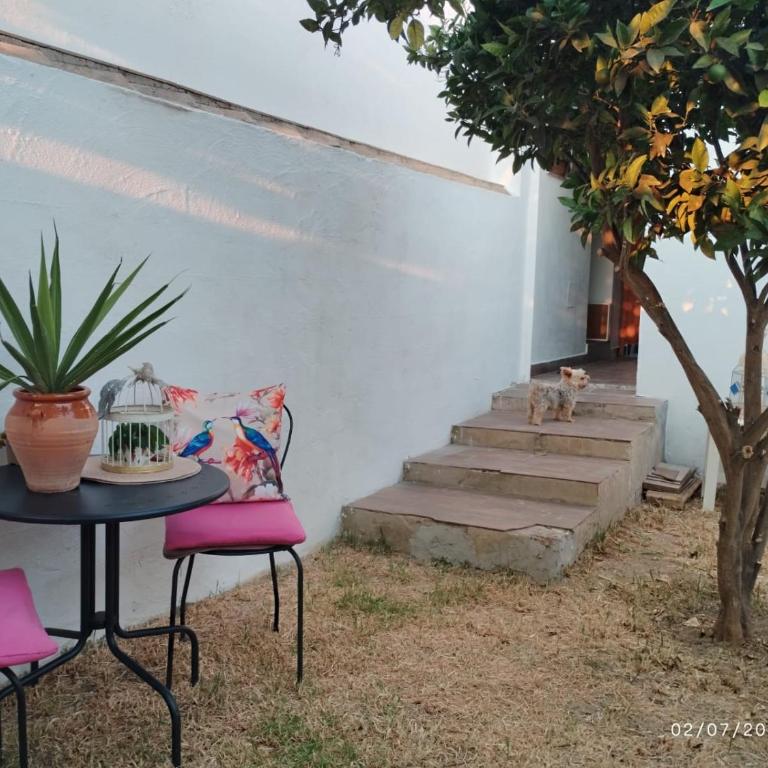 Mis Guardianes - One-Bedroom Apartment - 5