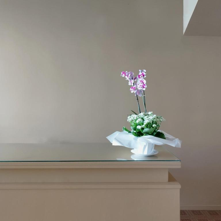 PhotoWalkTour House - Appartement 1 Chambre - 11