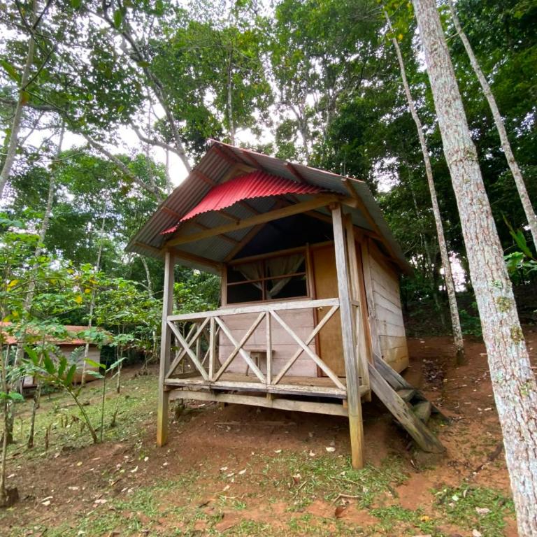 Albergue ecologico Sinchi Wasi - Habitación Individual con vistas a la montaña - 1