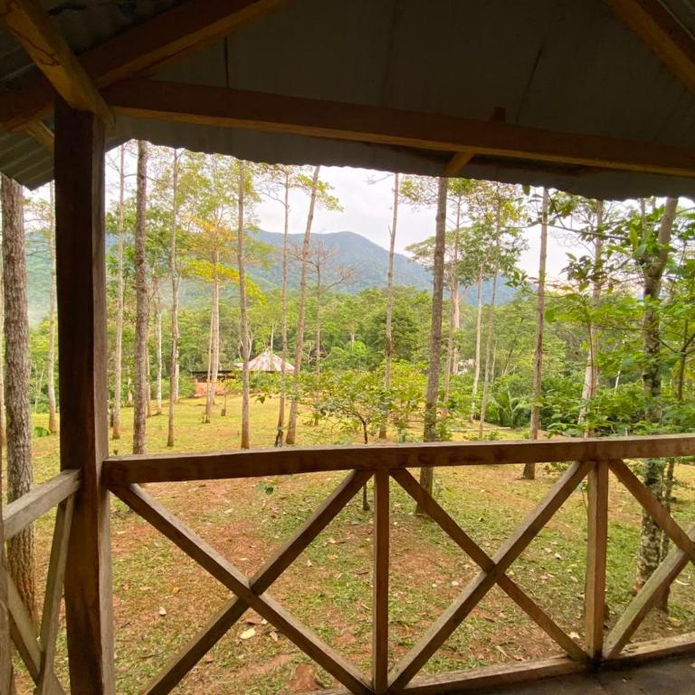 Albergue ecologico Sinchi Wasi - Habitación Individual con vistas a la montaña - 2