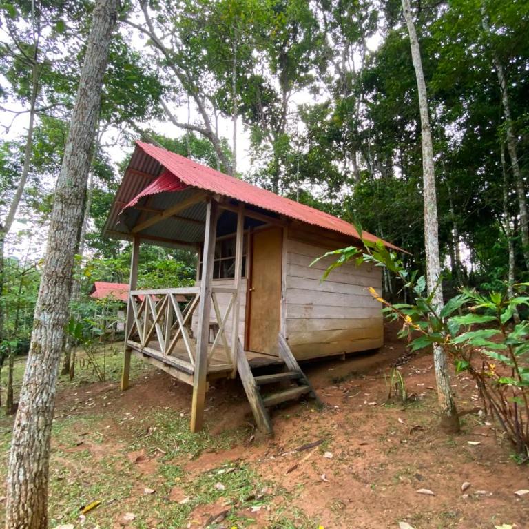 Albergue ecologico Sinchi Wasi - Habitación Individual con vistas a la montaña - 3