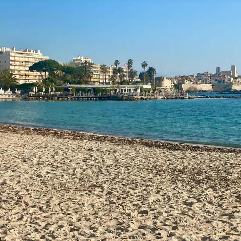 Les Reflets d Azur et les pieds dans l'eau - Appartement - 24
