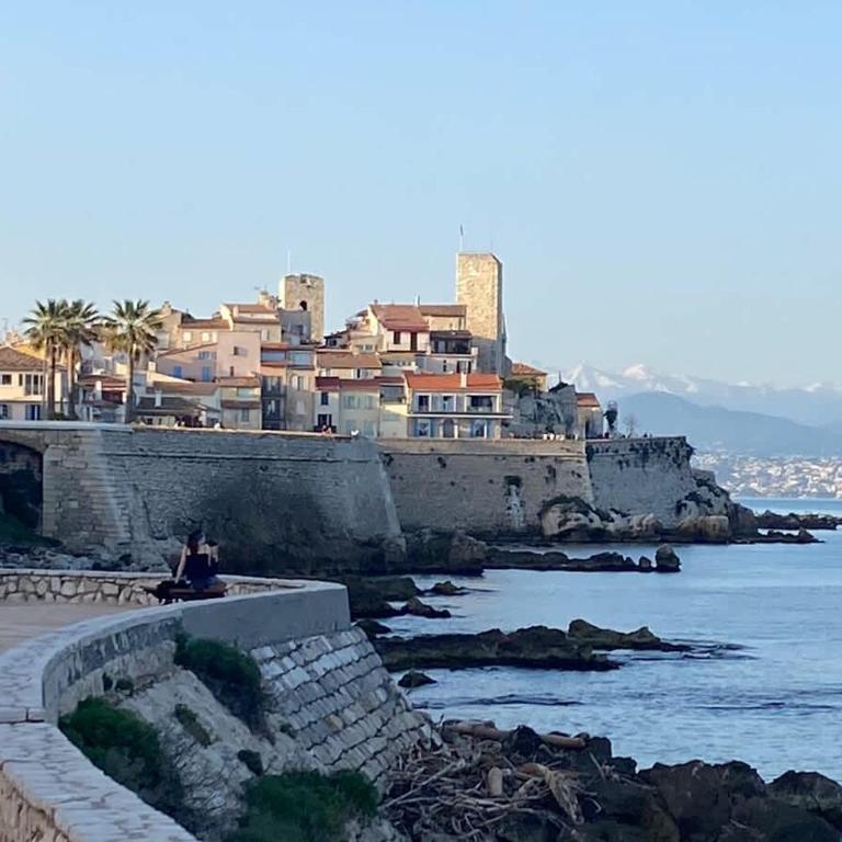 Les Reflets d Azur et les pieds dans l'eau - Appartement - 26