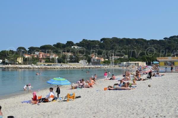 Les Reflets d Azur et les pieds dans l'eau - Appartement - 25