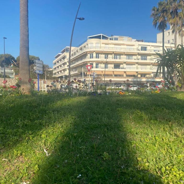 Les Reflets d Azur et les pieds dans l'eau - Appartement - 22