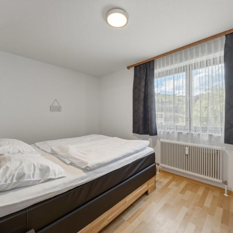 Low Budget Kaprun Apartments - Standard Apartment mit 1 Schlafzimmer - 15