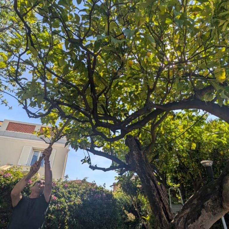 Villa Menton La Pomponette climatisée écrin de verdure a deux pas du centre - Maison 2 Chambres - 16