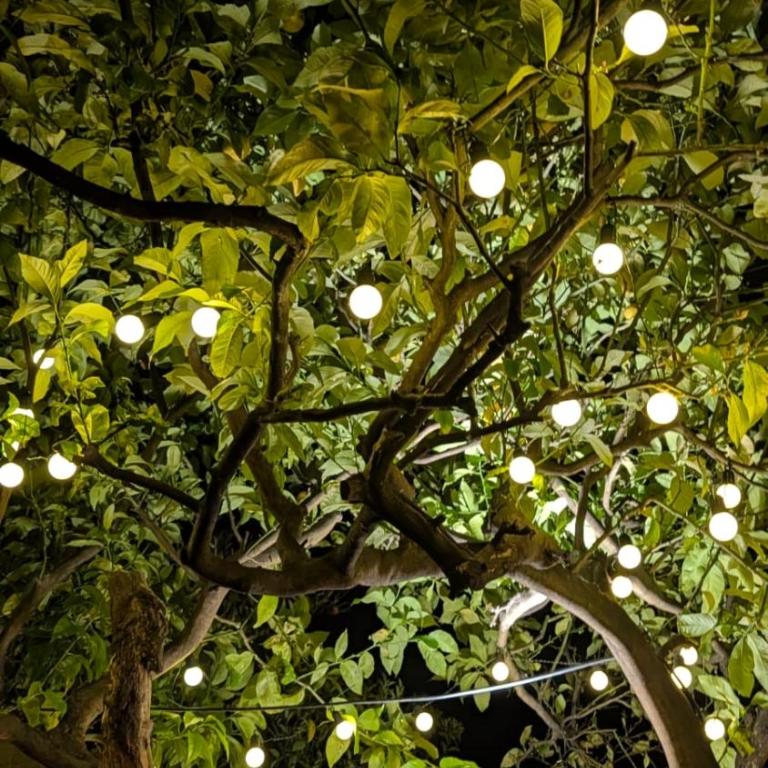 Villa Menton La Pomponette climatisée écrin de verdure a deux pas du centre - Maison 2 Chambres - 24