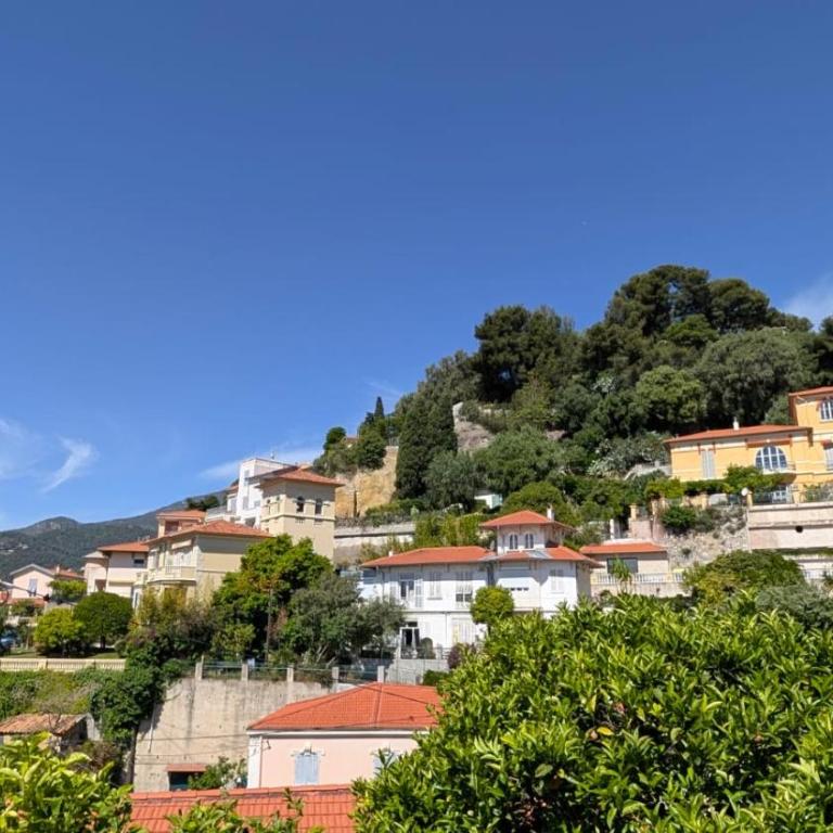 Villa Menton La Pomponette climatisée écrin de verdure a deux pas du centre - Maison 2 Chambres - 3